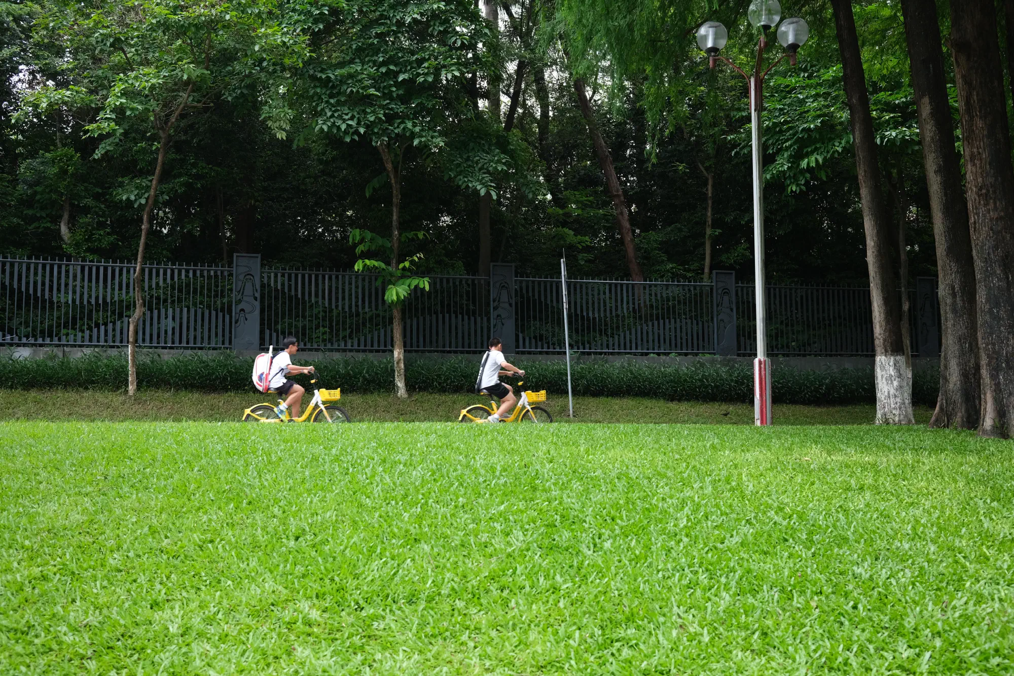 DSCF1689.JPG