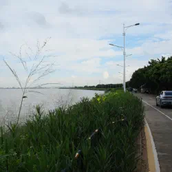 DSCF1866.JPG