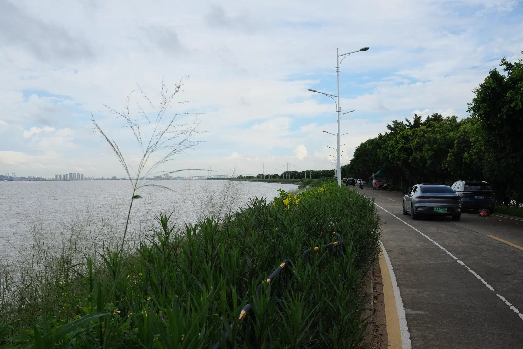 DSCF1866.JPG