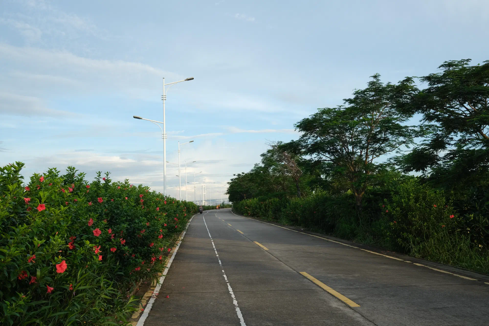 DSCF1916.JPG