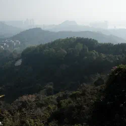 DSCF2593.JPG
