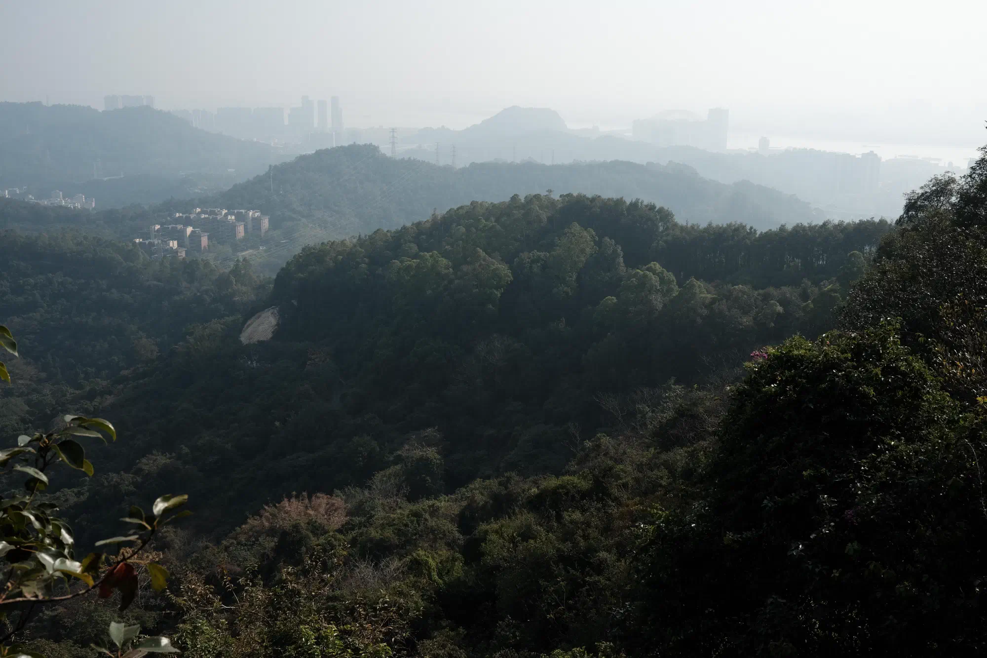 DSCF2593.JPG