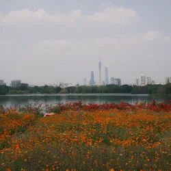 DSCF2357.JPG