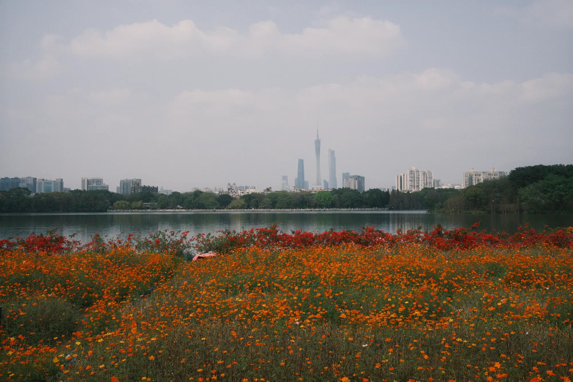 DSCF2357.JPG